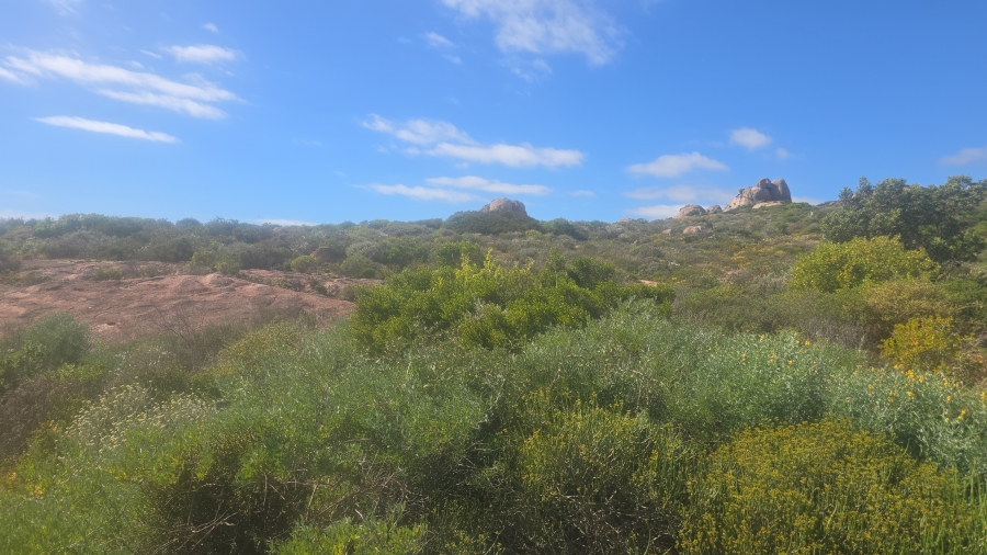 0 Bedroom Property for Sale in St Helena Views Western Cape